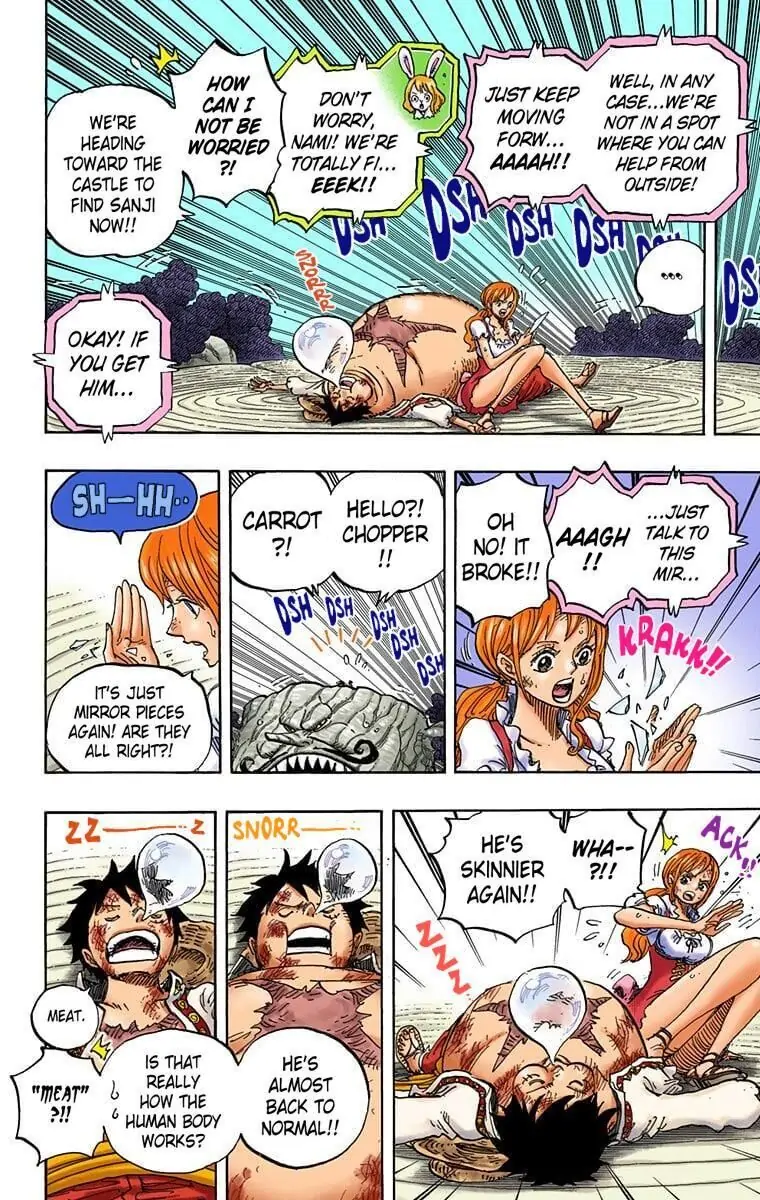 One Piece Digital Colored Chapter 843 image 11
